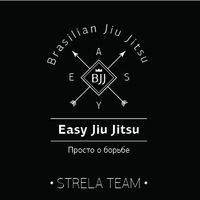 Логотип EASY JIU-JITSU /// TEAM STRELA